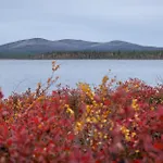 Fell Centre Kiilopaeae, Niilanpaeae ساريسيلكا