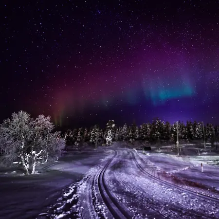 Fell Centre Kiilopaeae, Niilanpaeae 2*