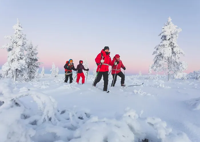 フェル センター キーロパー, ホテリ ニーランパー 2*