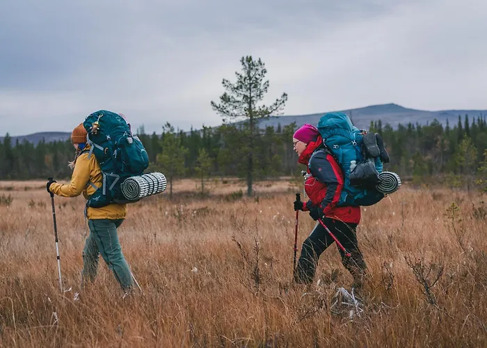 フェル センター キーロパー, ホテリ ニーランパー サーリセルカ