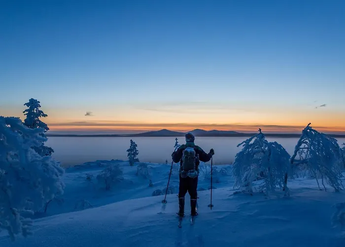 フェル センター キーロパー, ホテリ ニーランパー
