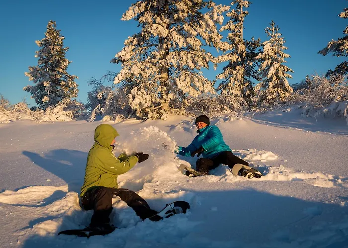 ホテル フェル センター キーロパー, ホテリ ニーランパー サーリセルカ